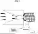 Fig. 10 - AMORPHOUS PROTEIN EXTRUDATES