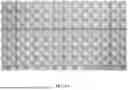 Fig. 12 - SKIN EXAMINATION DEVICE