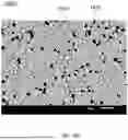 Fig. 19 - PCLED LIGHT SOURCE AND SWIR SPECTROMETER FOR NONINVASIVE TISSUE GLUCOSE SELF-MONITORING