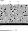 Fig. 20 - PCLED LIGHT SOURCE AND SWIR SPECTROMETER FOR NONINVASIVE TISSUE GLUCOSE SELF-MONITORING