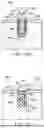 Fig. 10 - KNOTLESS ALL SUTURE TISSUE REPAIR