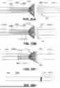 Fig. 25 - TRANSCATHETER VALVE RECAPTURE DEVICES AND METHODS
