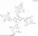 Fig. 17 - FORMULATION OF CONTRAST MEDIA AND PROCESS OF PREPARATION THEREOF