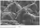 Fig. 02 - LITHIUM ADSORBENT, AND PREPARATION METHOD AND APPLICATION THEREOF