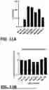 Fig. 12 - GUIDE OLIGONUCLEOTIDES FOR NUCLEIC ACID EDITING IN THE TREATMENT OF HYPERCHOLESTEROLEMIA