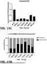 Fig. 13 - GUIDE OLIGONUCLEOTIDES FOR NUCLEIC ACID EDITING IN THE TREATMENT OF HYPERCHOLESTEROLEMIA