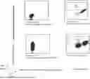 Fig. 01 - MODIFIED MONOCYTES/MACROPHAGES/DENDRITIC CELLS EXPRESSING CHIMERIC ANTIGEN RECEPTORS AND USES IN DISEASES AND DISORDERS ASSOCIATED WITH PROTEIN AGGREGATES