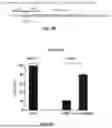 Fig. 09 - METHODS FOR IMPROVED HOMOLOGOUS RECOMBINATION AND COMPOSITIONS THEREOF