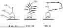 Fig. 02 - Methods for Multiplex Imaging Using Labeled Nucleic Acid Imaging Agents