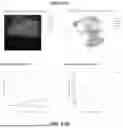 Fig. 60 - PROFILING OF BIOLOGICAL ANALYTES WITH SPATIALLY BARCODED OLIGONUCLEOTIDE ARRAYS