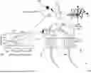 Fig. 01 - ENZYME TRANSLOCATORS IN NANOGAP WITH 3' -ESTERS