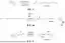 Fig. 09 - ENZYME TRANSLOCATORS IN NANOGAP WITH 3' -ESTERS