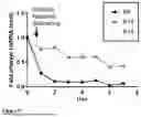 Fig. 06 - Method for detecting and subtyping inflammatory intestinal diseases