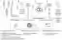 Fig. 02 - Methods and Compositions for Evaluating Biomarkers in Salivary Exosomes and Evaluating Cognitive Fatigue