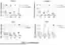 Fig. 08 - METHOD FOR HORMONE OR DRUG SCREENING IN A TISSUE SAMPLE