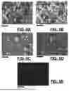 Fig. 04 - ALUMINUM SHEET MATERIALS, AND PRODUCTION METHODS AND ALLOY COMPOSITIONS THEREFOR WITH REDUCED ENERGY CONSUMPTION AND CO2 EMISSIONS