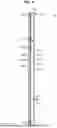 Fig. 10 - CLOTHES CARE APPARATUS