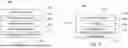 Fig. 04 - RECYCLABLE, THERMOFORMABLE PAPER BASE WEB