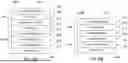 Fig. 05 - RECYCLABLE, THERMOFORMABLE PAPER BASE WEB