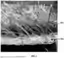 Fig. 03 - Novel Artificial Turf and Methods of Making Same