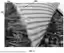 Fig. 04 - Novel Artificial Turf and Methods of Making Same