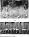Fig. 08 - Novel Artificial Turf and Methods of Making Same