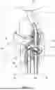Fig. 06 - FAUCET