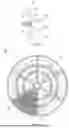 Fig. 15 - ATTACHMENT STRUCTURE FOR ATTACHING PLURALITY OF LANE ROPE FLOATS TO ROPE, LANE ROPE FLOAT SET, AND LANE ROPE FLOAT