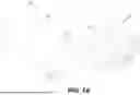 Fig. 02 - Removable Bracket