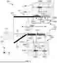 Fig. 06 - ALTERNATING FILTER STACK ASSEMBLY FOR MULTIPLEXER AND DEMULTIPLEXER APPLICATIONS