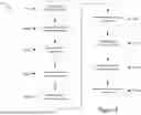 Fig. 08 - ARTIFICIAL INTELLIGENCE SYSTEMS FOR GENERATION OF HUMAN BODY PART MEASUREMENTS AND HUMAN BODY FIT INFORMATION