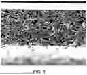 Fig. 02 - NEGATIVE ELECTRODE MATERIAL FOR LITHIUM ION SECONDARY BATTERY, METHOD OF PRODUCING NEGATIVE ELECTRODE MATERIAL FOR LITHIUM ION SECONDARY BATTERY, NEGATIVE ELECTRODE FOR LITHIUM ION SECONDARY BATTERY AND LITHIUM ION SECONDARY BATTERY