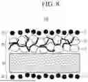 Fig. 09 - SEPARATOR FOR RECHARGEABLE LITHIUM BATTERY AND RECHARGEBALE LITHIUM BATTERY INCLUDING THE SAME