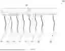 Fig. 06 - INTER-DEVICE CABLING MOVEMENT SYSTEM