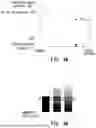 Fig. 05 - IMAGE READING APPARATUS THAT EMITS DIFFERENT LIGHT AMOUNTS AND IMAGE FORMING SYSTEM