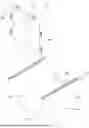 Fig. 01 - CARRYING DEVICE FOR SUBSTRATE CARRIER