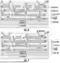 Fig. 08 - Active Wafer-Scale Reconfigurable Logic Fabric for AI and High-Performance Embedded Computing