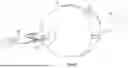 Fig. 21 - EXCISIONAL DEVICES AND METHODS