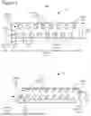Fig. 06 - External Fixation for the Correction of Bone Deformity and Trauma