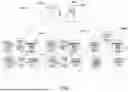 Fig. 02 - SYNCHRONIZATION OF THE OPERATIONAL ENVELOPES OF INDEPENDENT SURGICAL DEVICES