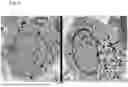Fig. 05 - NUTRITIONAL PRODUCT