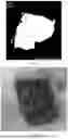Fig. 07 - LIGHT-ACTIVATABLE, SUSTAINED-EXPOSURE ETHANOL INJECTION