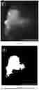 Fig. 08 - LIGHT-ACTIVATABLE, SUSTAINED-EXPOSURE ETHANOL INJECTION