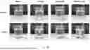 Fig. 11 - LIGHT-ACTIVATABLE, SUSTAINED-EXPOSURE ETHANOL INJECTION