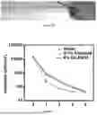 Fig. 15 - LIGHT-ACTIVATABLE, SUSTAINED-EXPOSURE ETHANOL INJECTION