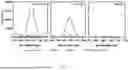 Fig. 17 - LIGHT-ACTIVATABLE, SUSTAINED-EXPOSURE ETHANOL INJECTION