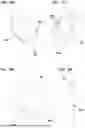 Fig. 46 - AIR CLEANER ASSEMBLIES AND METHODS OF USE
