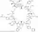 Fig. 960 - MACROCYCLIC IMMUNOMODULATORS