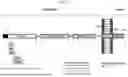 Fig. 02 - ANTI-RAGE ANTIBODY