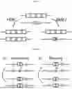Fig. 02 - METHOD OF INTRODUCING A PLURALITY OF GENE DRIVES INTO A POPULATION